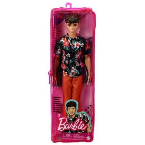 Barbie Yakışıklı Ken Bebekler DWK44