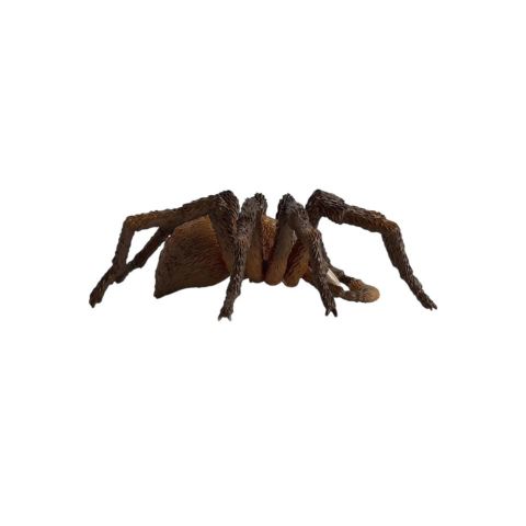 Harry Potter Aragog