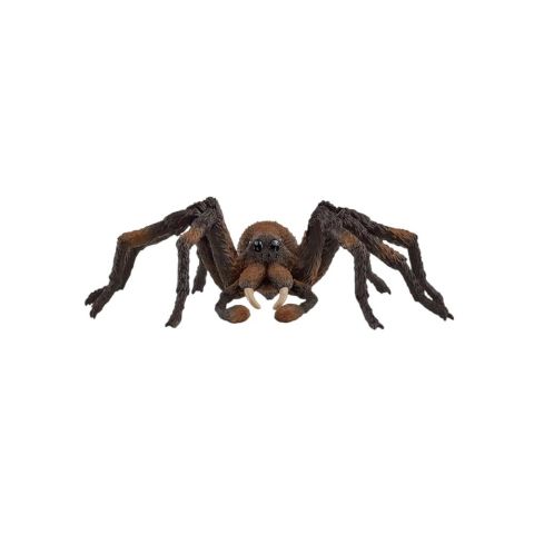 Harry Potter Aragog