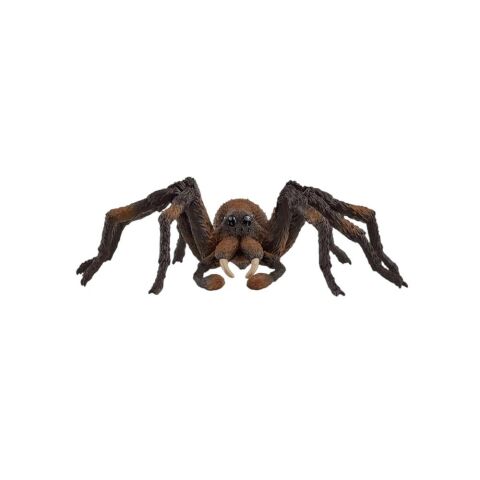 Harry Potter Aragog