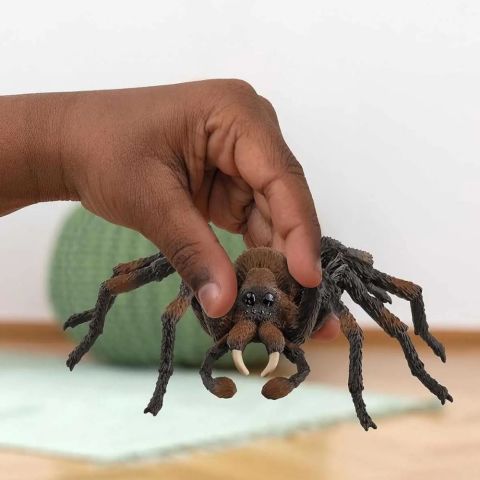 Harry Potter Aragog
