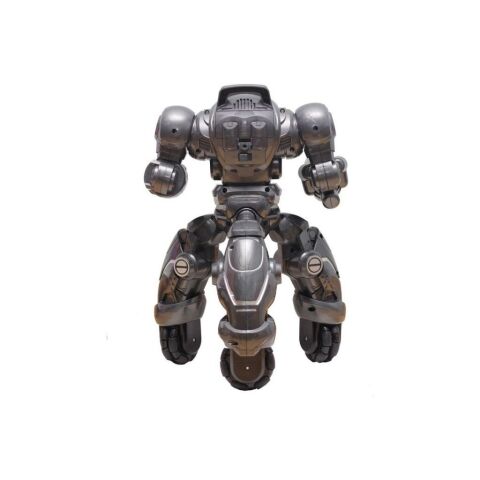 Kasırga RC Robot