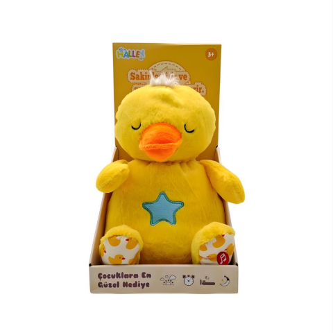 25 Cm Işıklı Müzikli Asortiler