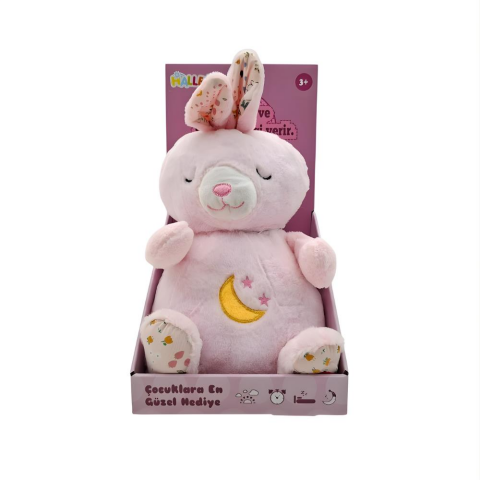 25 Cm Işıklı Müzikli Asortiler