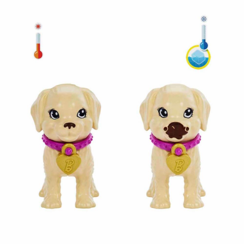 Barbie ve Köpekçikleri Oyun Seti HKD86