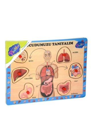 Ahşap Tutmalı Vücudumuzu Tanıyalım