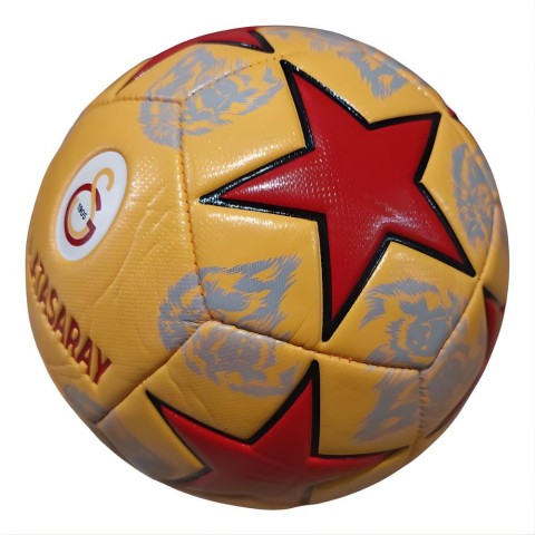 Galatasaray Futbol Topu Lion